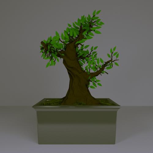 Bonsai tree preview image